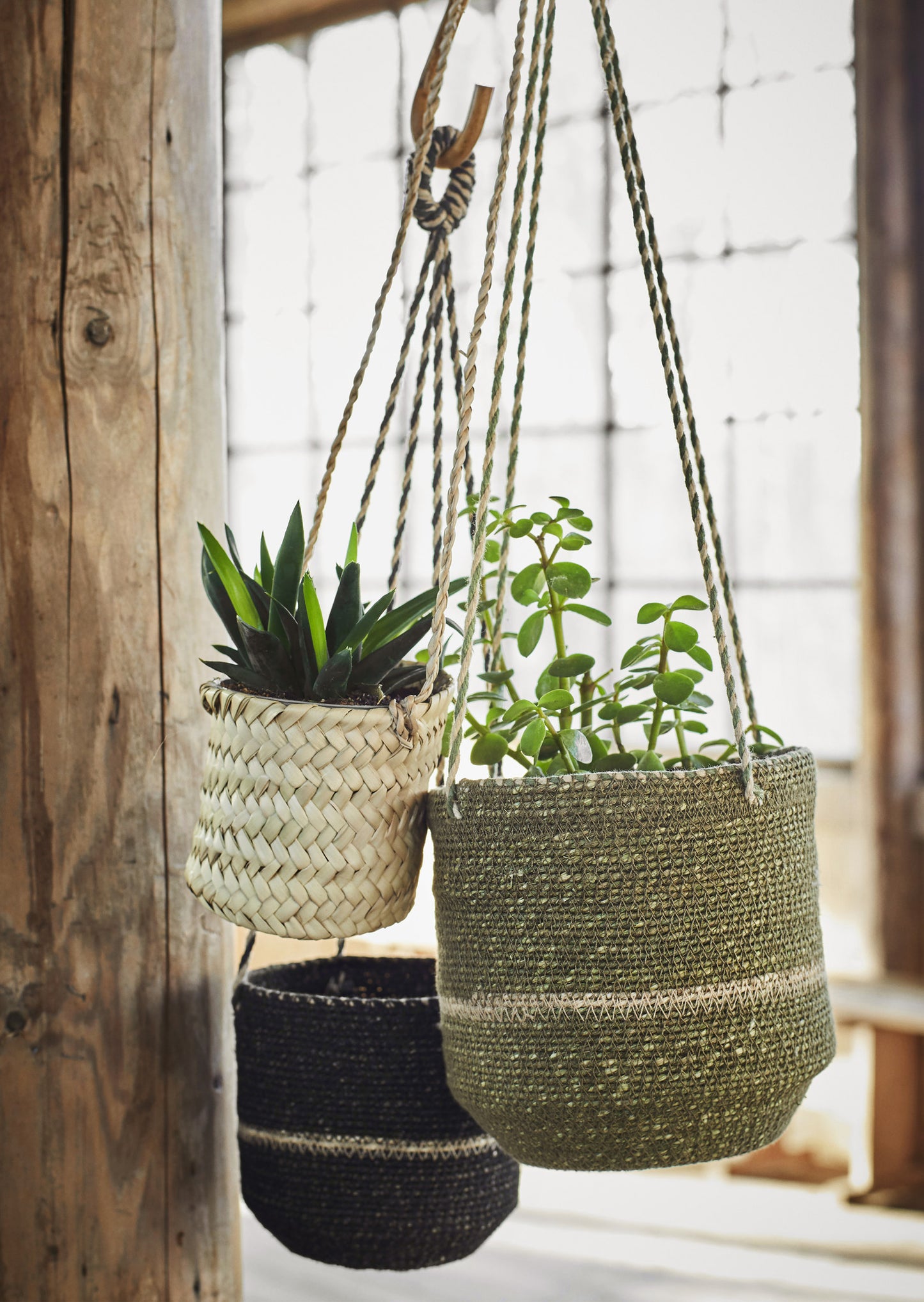 Set of 2 Hanging Seagrass Baskets Olive, Black, Natural