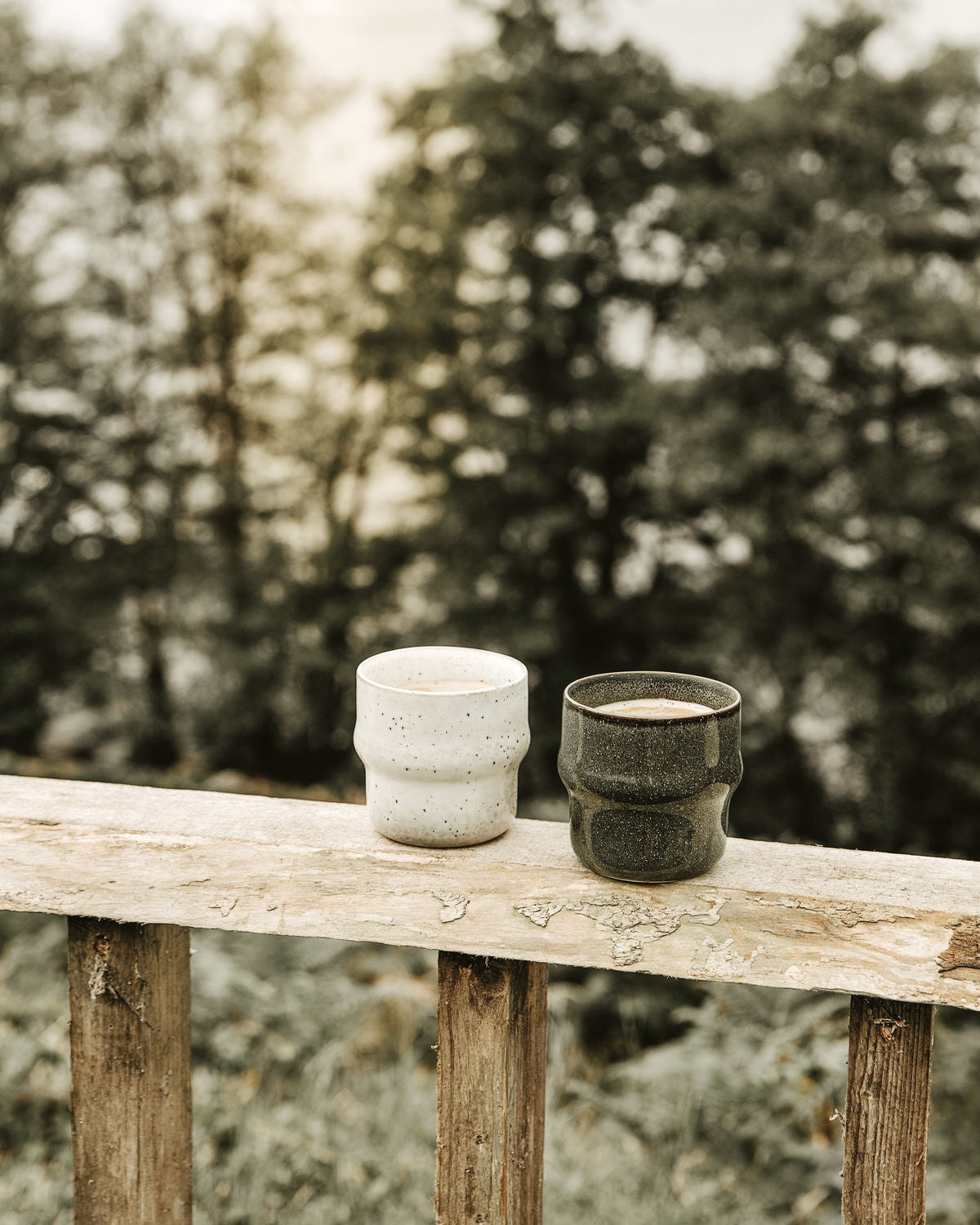 Mug Lake greenbrown