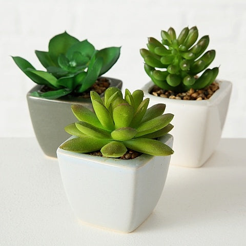 Set of three unique artificial succulents in modern white and gray square pots, perfect for individual style and favorite. - Kunststukkulente im Topf, 3er